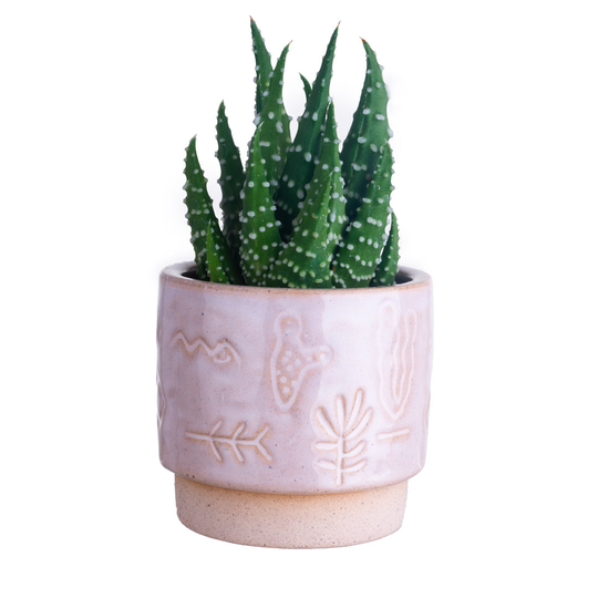 Inca Mini Plant Pot