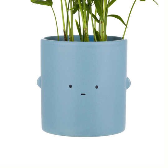 Mini Blue Straight Face Toki Plant Pot