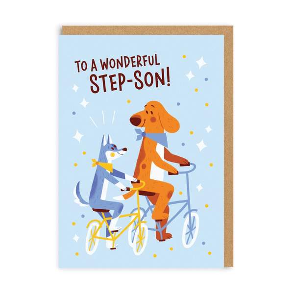 Step-Son Wonderful Birthday Greeting Card