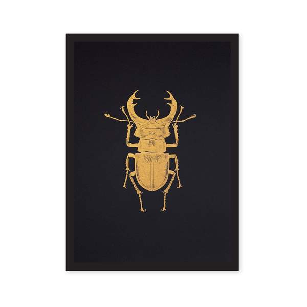 A4 Stag Beetle Riso Print
