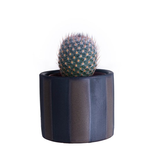 Green Stripe Mini Planter