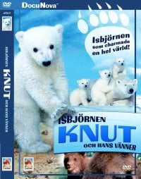 Isbjörnen Knut
