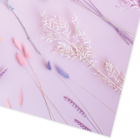 Blushed Blossom Giftwrap