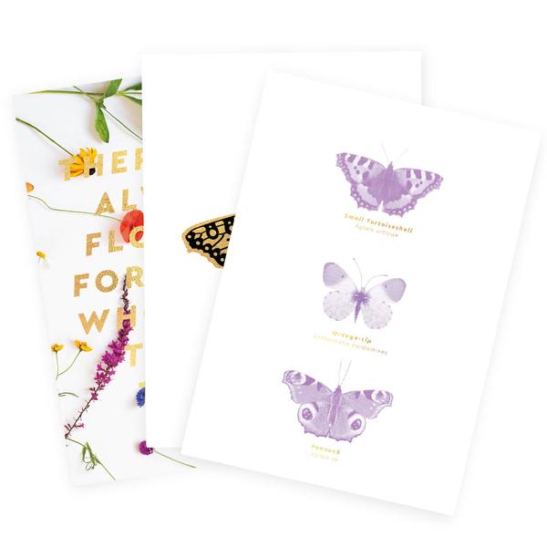Butterfly Art Print Pack A5