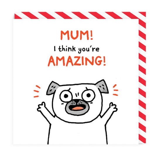 Mum I Think You're Amazing! Greeting Card