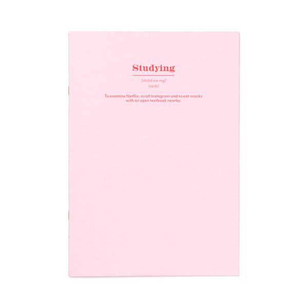 Studying A4ish Notebook