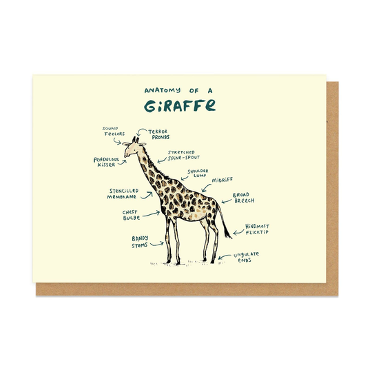 Giraffe Anatomy Greeting Card