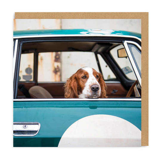 Dog In Car Square Greeting Card