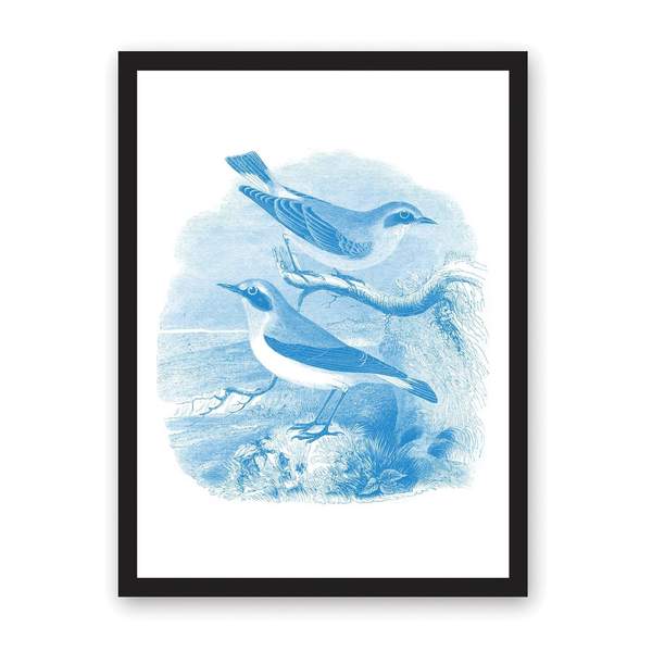 A3 Sea Birds Riso Print
