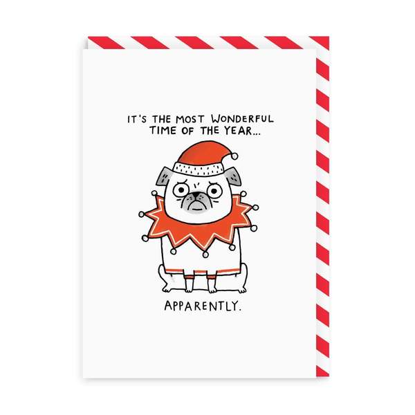 Apparently The Most Wonderful Time Of The Year Christmas Card