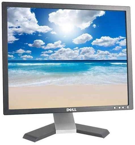 Dell E198FPB 19'' LCD Monitor