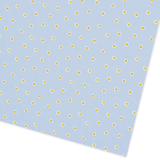 Blue Daisies Giftwrap