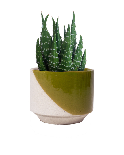 Green Java Plant Pot