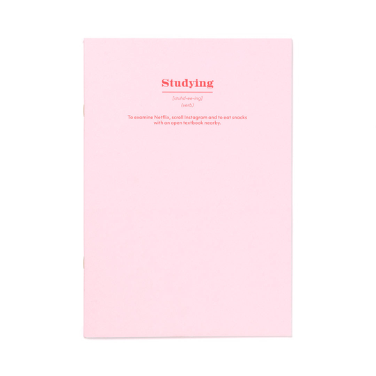 Studying A4ish Notebook