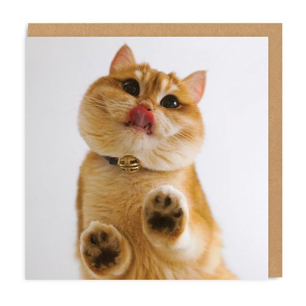 Pisco From Above Square Greeting Card