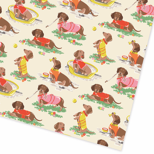 Sausage Dog Folded Giftwrap