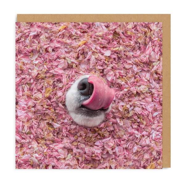 Corgi Snoot Square Greeting Card
