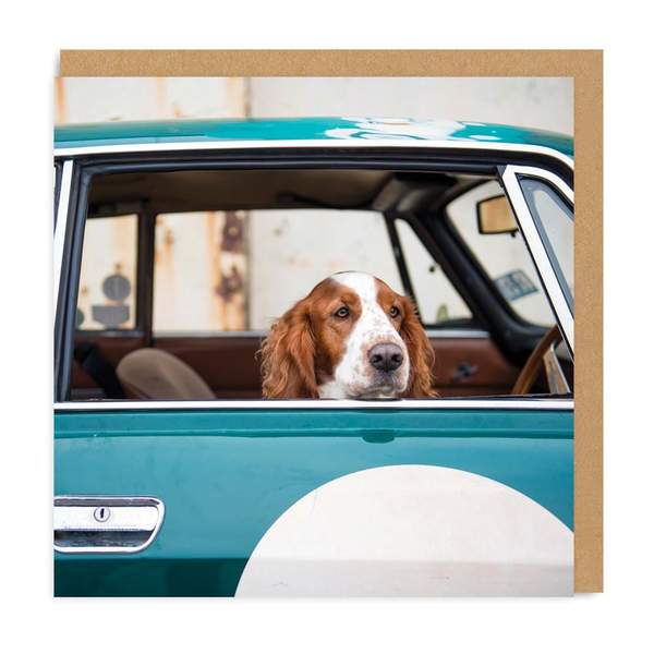 Dog In Car Square Greeting Card