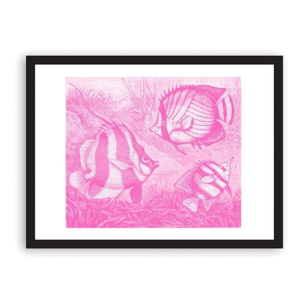 A3 Fish Riso Print