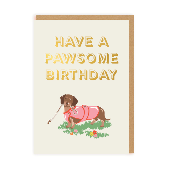 Have a Pawsome Birthday Dog Birthday Card