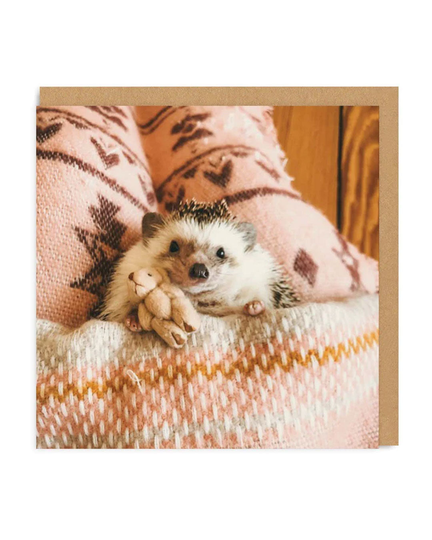 Hedgehog In Bed Greeting Card