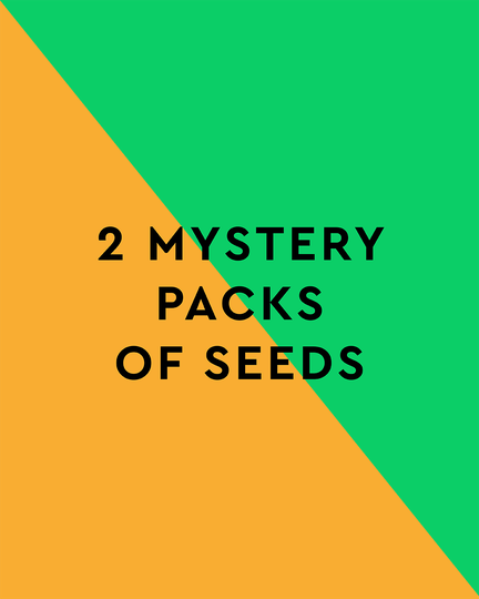 2 Mystery Packs of Seeds