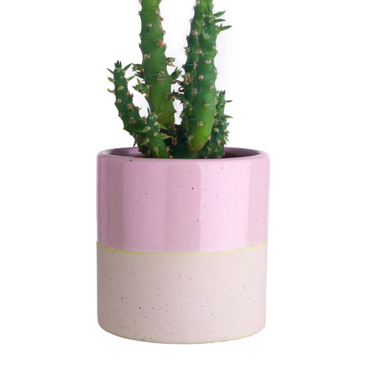 Pink Dipped Mini Planter