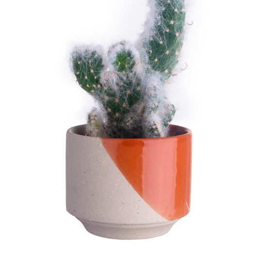 Orange Java Plant Pot