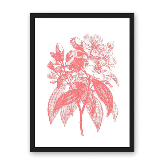 A3 Blossom Riso Print