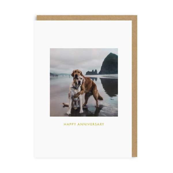 Happy Anniversary Beach Dogs Greeting Card
