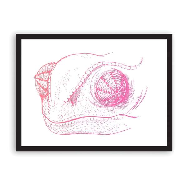 Chameleon Riso Print A3